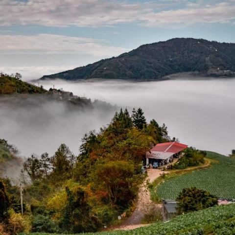 提供iso顧問公司ptt服務的專家Michael Lin