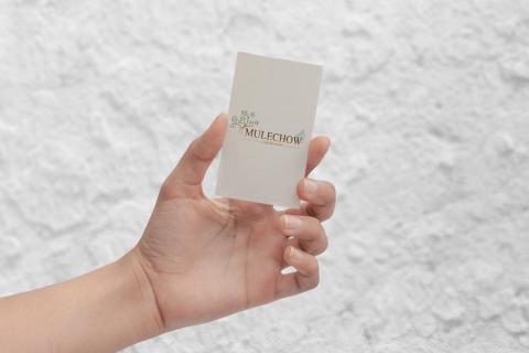 潘采絹 - MULECHOW - LOGO設計