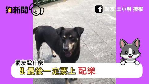 偉泊媒體製作小屋 - 狗狗動新聞