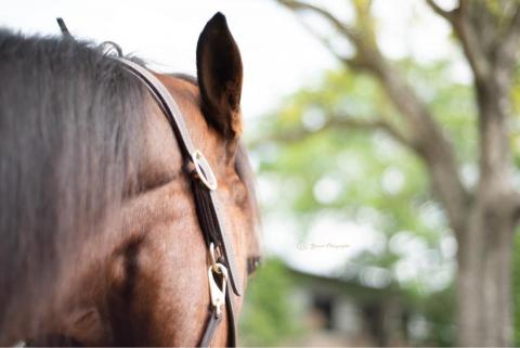 yeiazel_photographer - 