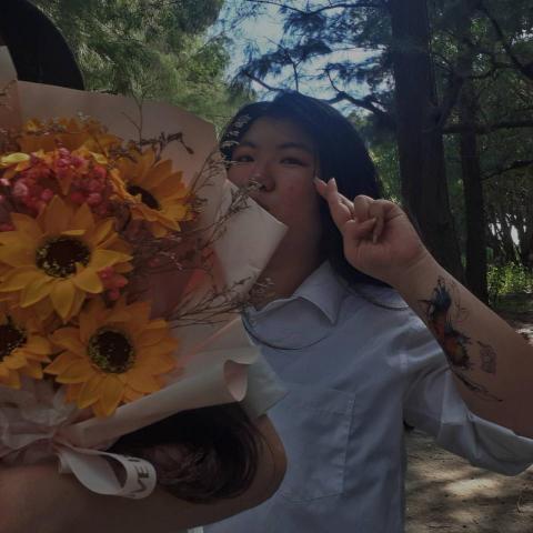 白曉埼 - 漁光島(本人拍攝作品+後製)