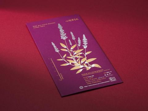 起點攝影工作室 -  起點攝影工作室 -