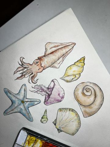 維維老師｜全職家教 - 水彩