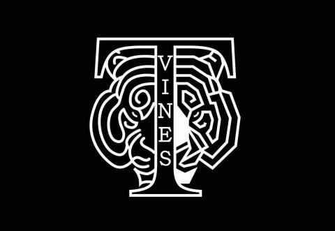 提供行銷公司台北服務的專家虎藤行銷有限公司