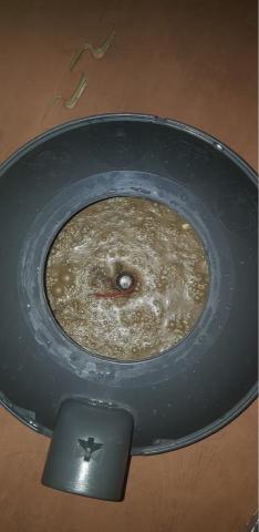 JEJ潔意捷除蟲消毒有限公司 - 塵蟎 JEJ潔意捷除蟲消毒有限公司 - 塵蟎