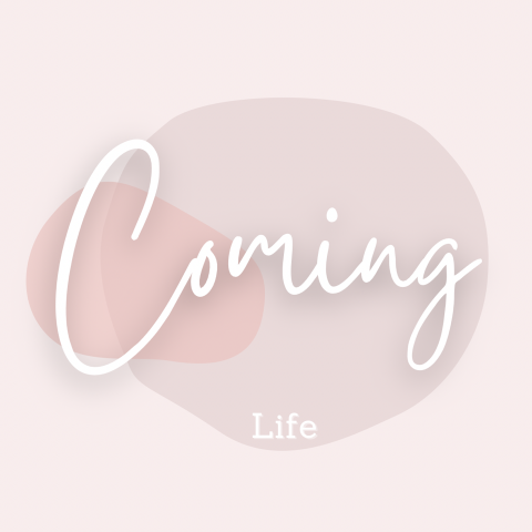 陳甯 - 網路電商logo設計