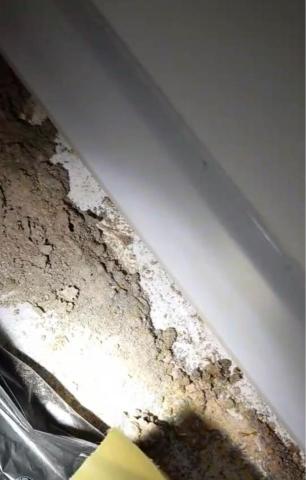 JEJ潔意捷除蟲消毒有限公司 - 白蟻 JEJ潔意捷除蟲消毒有限公司 - 白蟻