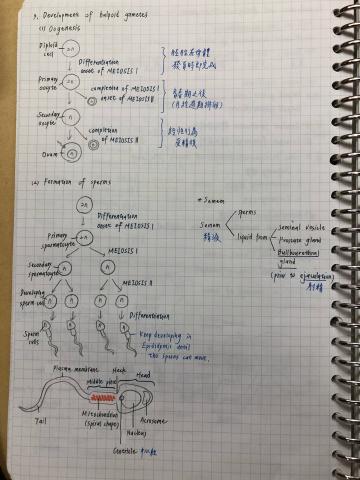 廖唯硯 - 普通生物筆記 3