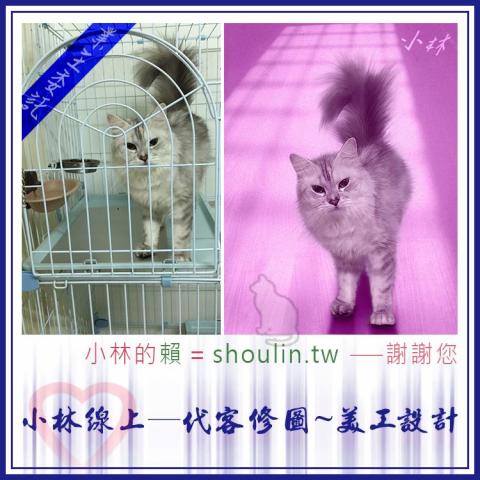 小林影像 - 小林線上～代客～美工設計～修圖合成~相關服務～ ( 小林的 賴 = shoulin.tw )