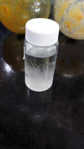 蕭季孟 - 自製天氣瓶