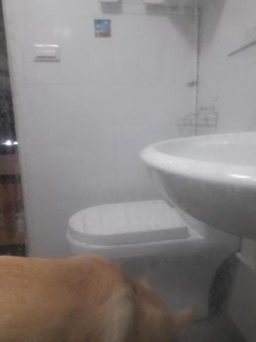 洪秀燕 - 水垢～