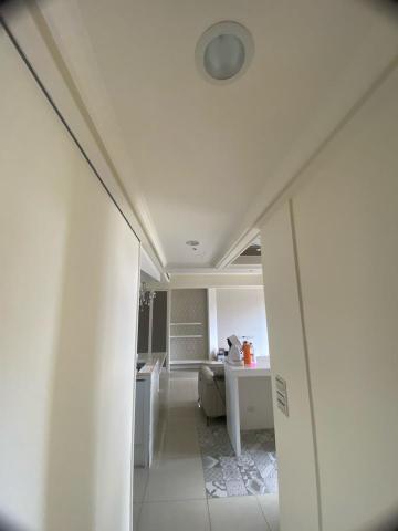 長聖油漆 -  長聖油漆 -