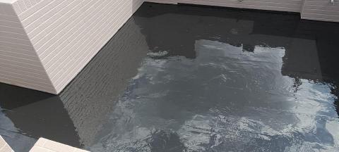 楊軒仁 - 油性pu完成面