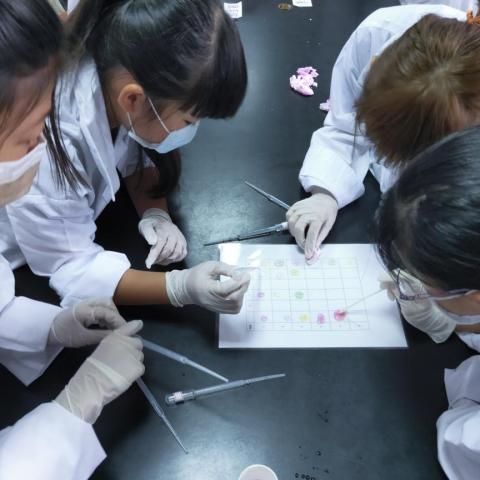 吳宥萱 - 暑期偏鄉教育：酸鹼密碼實驗
利用酚酞指示劑在不同ph值下顏色變化的不同，將不同濃度的藥水以ph 值由大到小的方式排列
