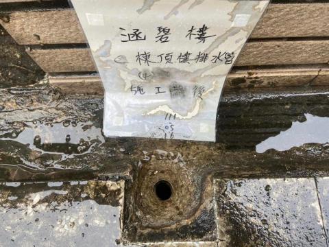 大新環保科技 -  大新環保科技 -