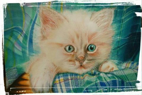 王彥琪 - 色鉛筆