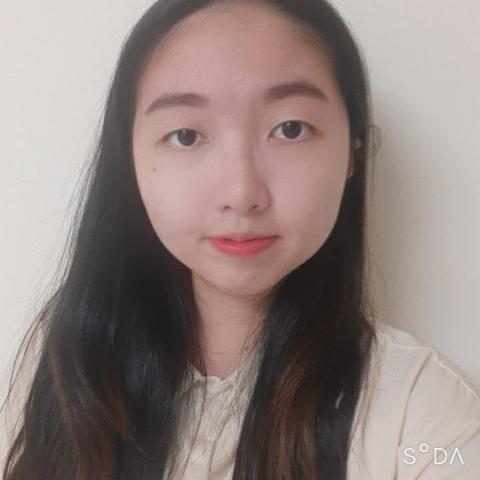 提供民法227服務的專家法務人員