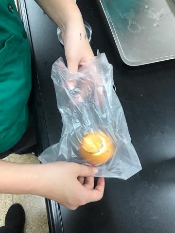 林晶鈺 - 這樣教我就懂科學競賽