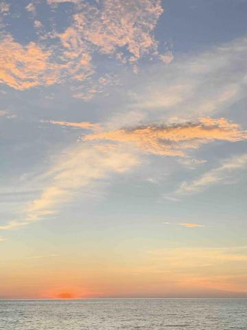 提供工程公司服務的專家盧緯庭