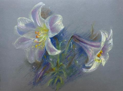 Jasmine老師 - 蠟筆