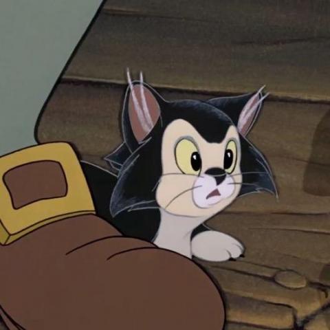 提供剪片apppc服務的專家Jasmine