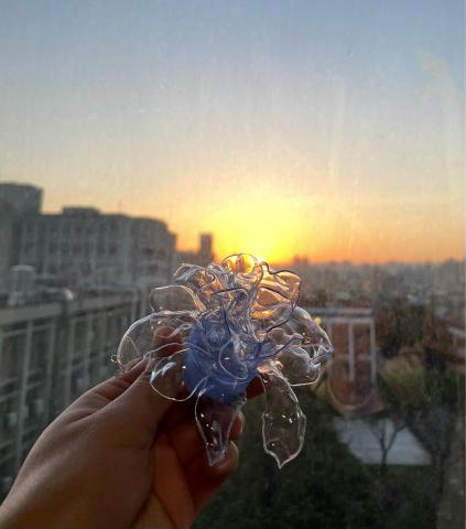 黃絜暘 - 水晶花DIY