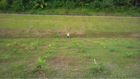 政通工程企業社 - 專營整地工程 政通工程企業社 - 專營整地工程