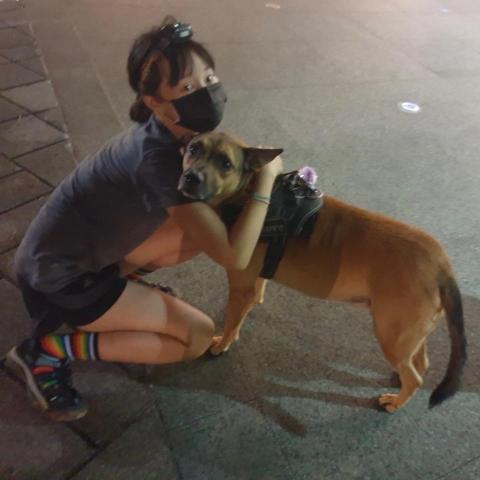 提供遛狗服務的專家杜小草