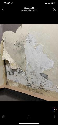 宅先生空間規劃設計 - 剔除壁癌