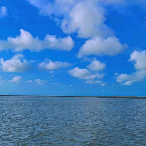 提供n3服務的專家田佳千