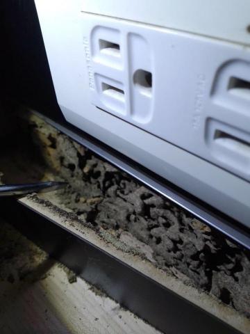 驅蟲氏除蟲消毒工作室 - 裝潢內的蟻道