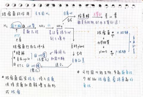林廷蓉🌟國中理化、高中化學🌟 - 高中生物整理筆記