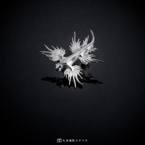 札克攝影工作室 - 