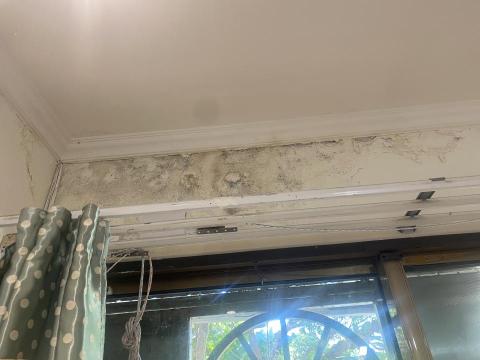 小劉 - 壁癌處理前