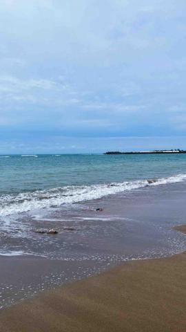 提供寄養狗服務的專家王子庭