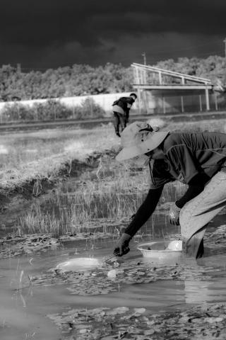 Shanoe - ：：紀實攝影：：
台南市官田區《人田雜誌》之活動紀錄