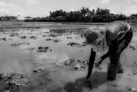 Shanoe - ：：紀實攝影：：
台南市官田區《人田雜誌》之活動紀錄