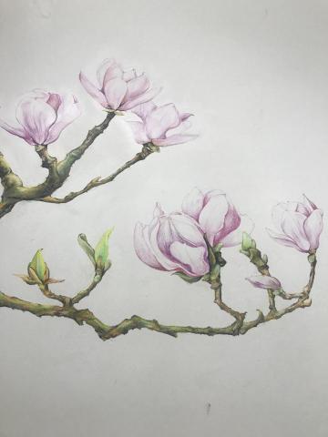 黃小姐 - 我的手繪壁畫