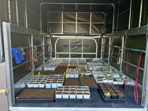 大叔阿漢貨運行 - 植栽運送，松山➡️土城