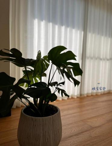 映室家飾美學 - 龍潭浪漫紗簾 映室家飾美學 - 龍潭浪漫紗簾