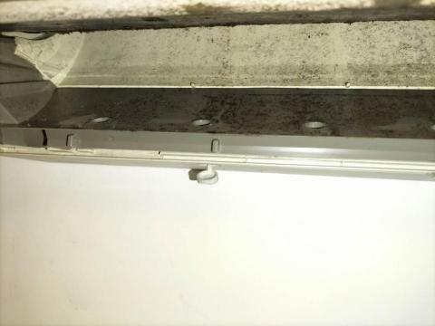 潔淨清黴菌 -  潔淨清黴菌 -