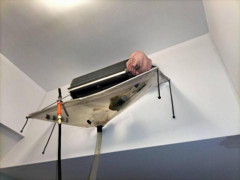 潔淨清黴菌 -  潔淨清黴菌 -