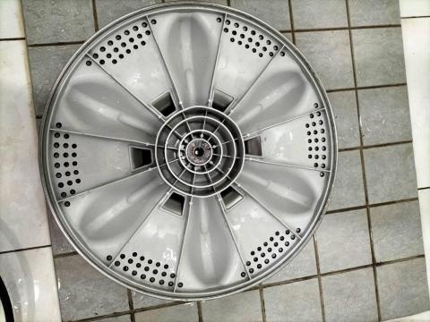 潔淨清黴菌 -  潔淨清黴菌 -