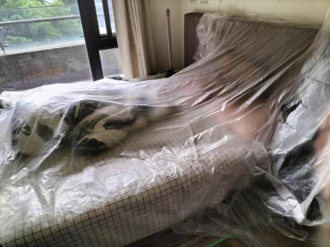 潔淨清黴菌 -  潔淨清黴菌 -