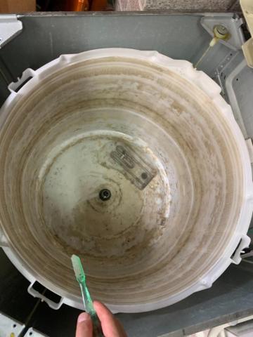 潔淨清黴菌 -  潔淨清黴菌 -