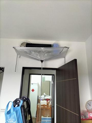 潔淨清黴菌 -  潔淨清黴菌 -