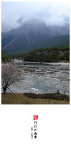 purpleimage - 贈品書卡 purpleimage - 贈品書卡