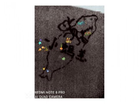 提供249服務的專家Wein