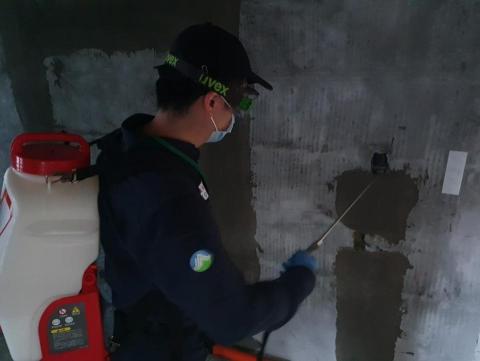 康佐環衛有限公司 - 居家裝潢前白蟻防蟲施作