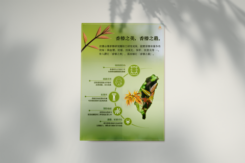 Sandy Yang - 食品功效DM Sandy Yang - 食品功效DM